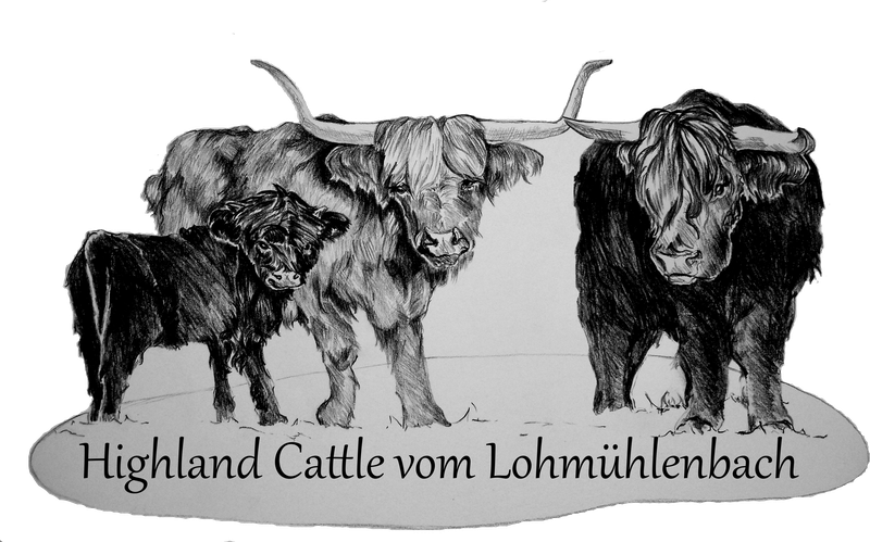 Highland Aufzucht und Vermarktung GmbH